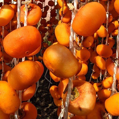 紅干し柿　170g×2パック　0033-2611