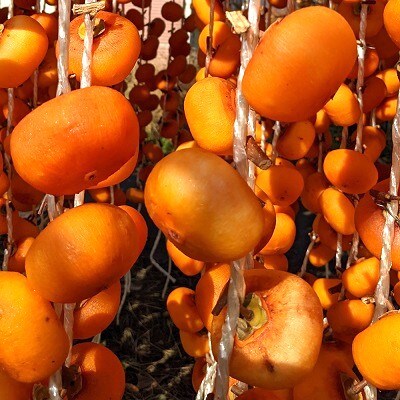 紅干し柿　170g×4パック　0033-2612