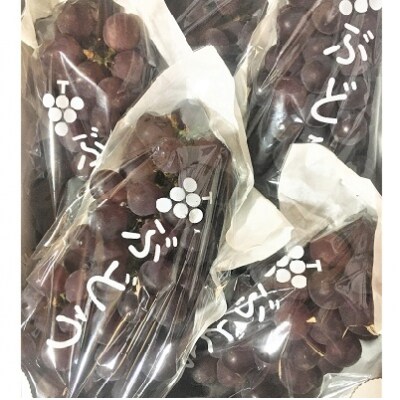 ぶどう(キングデラ)2kg 0066-2602