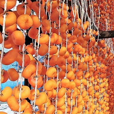 紅干し柿　50果　0107-2602