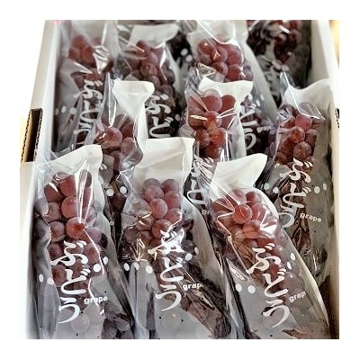 ぶどう(デラウェア)特秀品　0079-2610