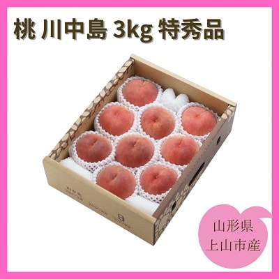 桃(川中島)3kg　特秀品　0055-2606