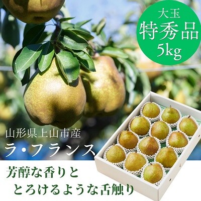 西洋梨(ラ・フランス)5kg　特秀品　0055-2613