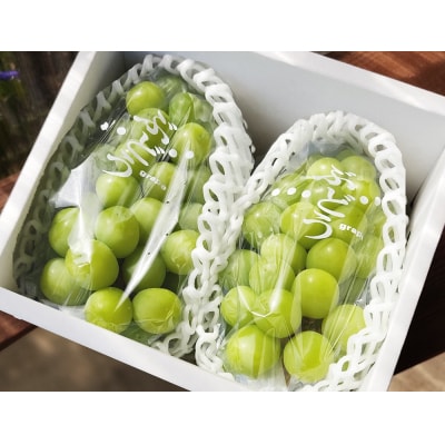 【産地直送】上山産・完熟シャインマスカット　1kg以上　ご家庭用　0140-2503