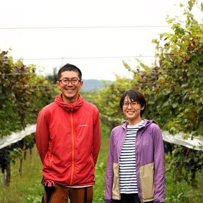 【産地直送】上山産・完熟シャインマスカット　1kg以上　ご家庭用　0140-2607