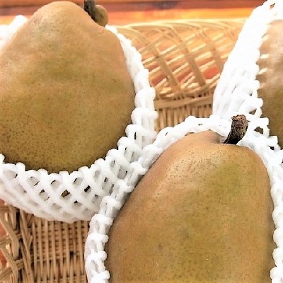 西洋梨(ラ・フランスまたはゴールドラ・フランス)3.5kg　ご家庭用　0075-2607