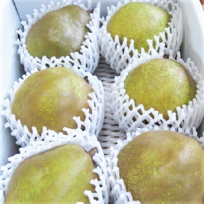 西洋梨(ラ・フランスまたはゴールドラ・フランス)2.5kg　中玉～大玉　0075-2608