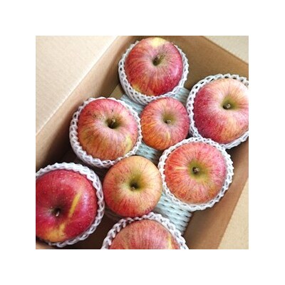 【2027年1月～発送】りんご(葉とらずサンふじ)3kg　ご家庭用　0075-2614