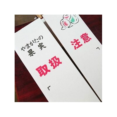 【2027年1月～発送】りんご(葉とらずサンふじ)3kg　ご家庭用　0075-2614