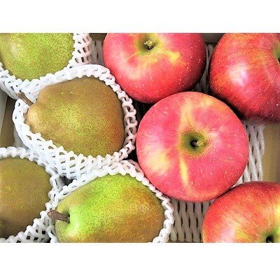 【2027年1月～発送】ラ・フランスとサンふじりんご詰合せ　3kg　家庭用　0075-2612