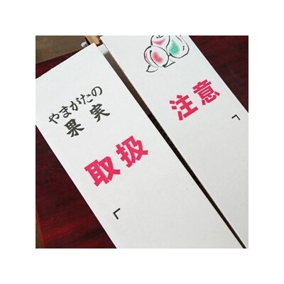 【2027年1月～発送】ラ・フランスとサンふじりんご詰合せ　3kg　家庭用　0075-2612