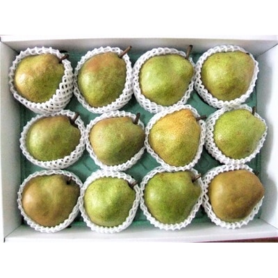 西洋梨(ラ・フランス)5kg　0030-2630