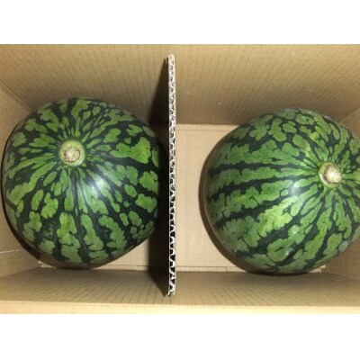 小玉すいか(ピノガール)2個　0030-2608