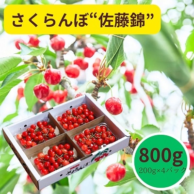 さくらんぼ(佐藤錦)800g　ご家庭用　0055-2501