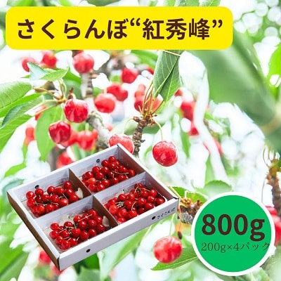 さくらんぼ(紅秀峰)800g　0055-2504