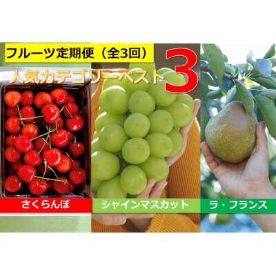 【定期便:全3回】上山人気フルーツカテゴリーベスト3(さくらんぼ、ぶどう、西洋梨)6207-2302 | ふるさと納税のお礼品