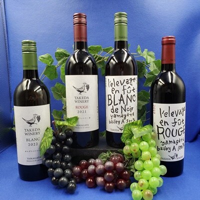<2026年6月～発送>【定期便:全4回】タケダワイナリーシリーズ　0141-2601