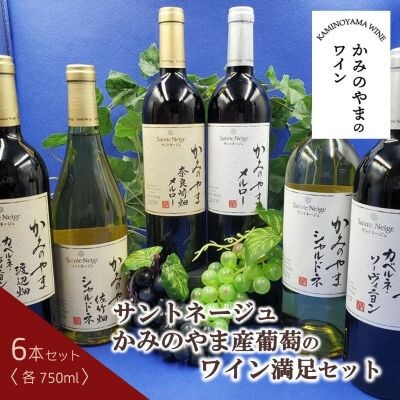 サントネージュかみのやま産葡萄のワイン満足セット(750ml×6本)　0141-2615