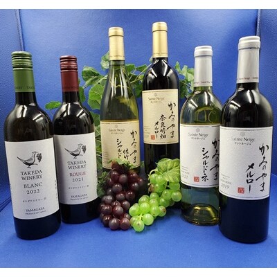 【2026年6月～発送】サントネージュかみのやまとタケダワイナリーのワクワクセット0141-2613