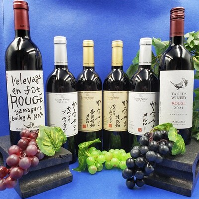 【2026年6月～発送】かみのやま産葡萄赤ワインのみ比べ　6本セット　0141-2614