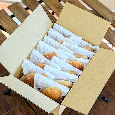 【2026年9月中旬～発送】安納芋あんシューパン　12個　0122-2608