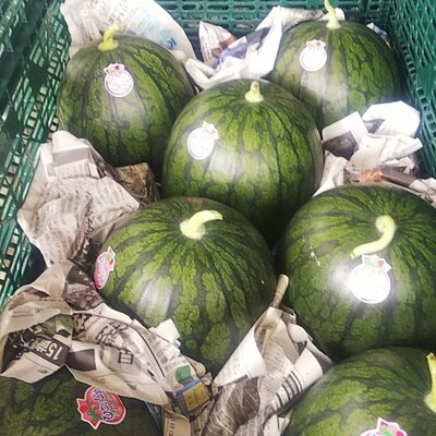 小玉すいか(ひとりじめBONBON)1玉　0011-2601