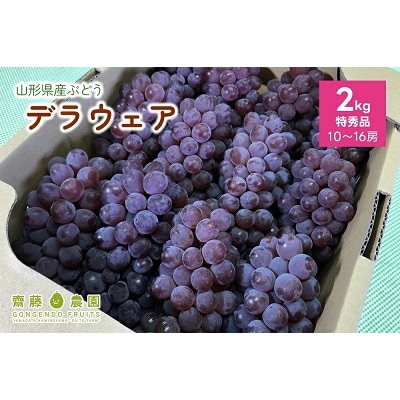 ぶどう(デラウェア)特秀品　0037-2603