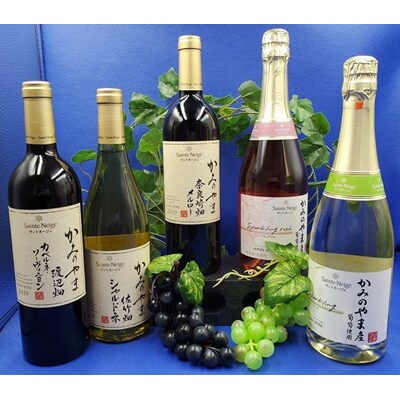 【定期便:全5回】サントネージュかみのやまプレミアムワイン　0141-2421