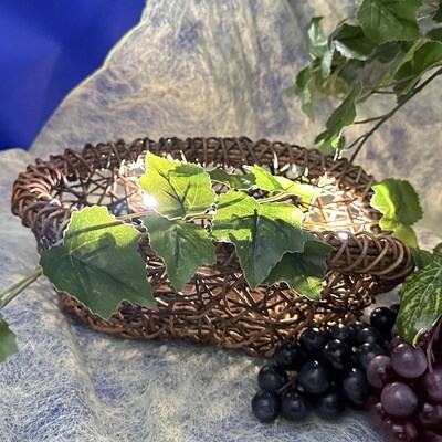 【定期便:全3回】サントネージュかみのやま産葡萄ワインとワインバスケット　0141-2422