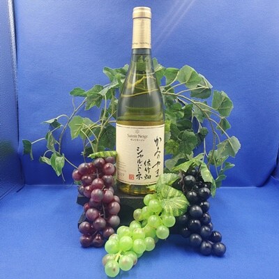 サントネージュかみのやま佐竹畑シャルドネ　1本　0141-2410