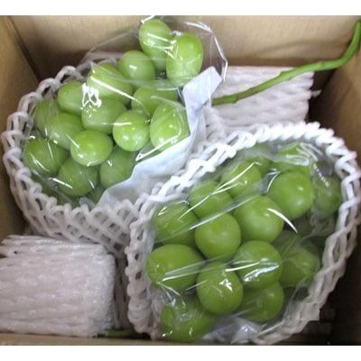 ぶどう(シャインマスカット)1.5kg　ご家庭用　0025-2612