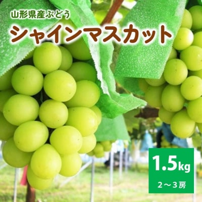 ぶどう(シャインマスカット)1.5kg　ご家庭用　0025-2612
