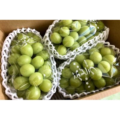 ぶどう(シャインマスカット)3～4房　合計1.8kg　0037-2604