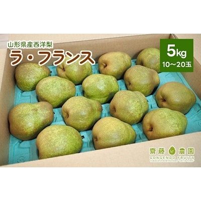 西洋梨(ラ・フランス)5kg　ご家庭用　0037-2609