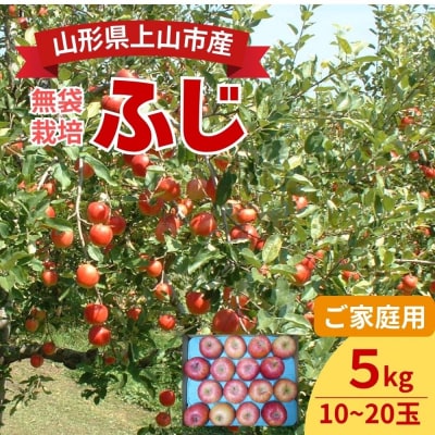 りんご(ふじ)5kg　ご家庭用　0017-2630