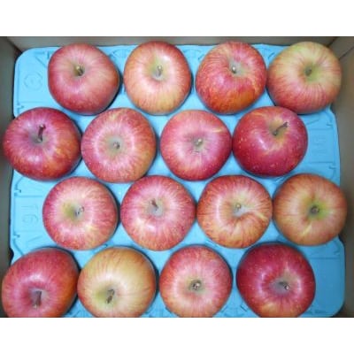 りんご(ふじ)5kg　ご家庭用　0017-2625