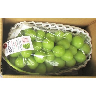 ぶどう(シャインマスカット)大房1房(1kg以上)　0025-2609