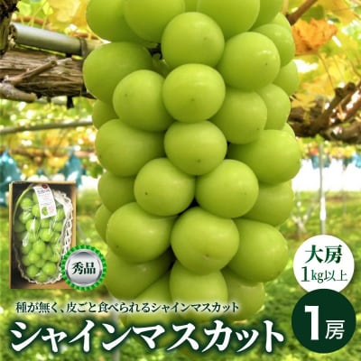 ぶどう(シャインマスカット)大房1房(1kg以上)　0025-2609