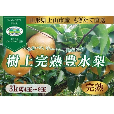 【樹上完熟】和梨「豊水」　3kg　4～9玉(直送便)　0148-2609
