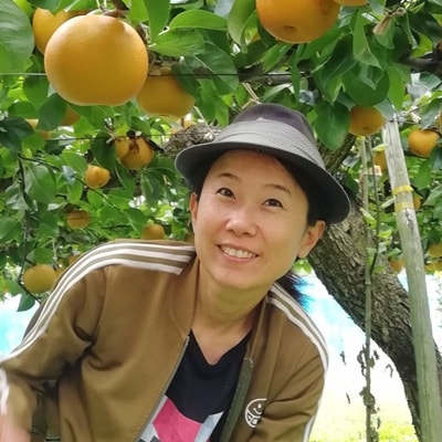 【樹上完熟】和梨「豊水」　3kg　4～9玉(直送便)　0148-2609