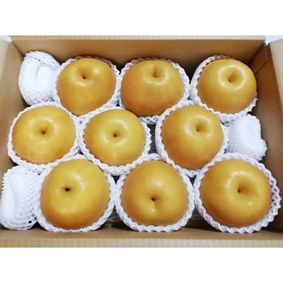 【樹上完熟】和梨「豊水」　5kg　7～16玉(直送便)　0148-2610