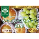 【直送便】完熟シャインマスカットと和梨セット(小)　0148-2509
