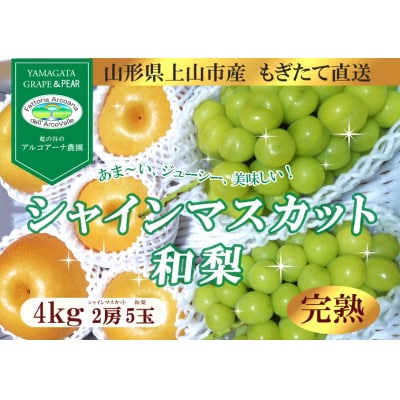 【直送便】完熟シャインマスカットと和梨セット(大)　0148-2612