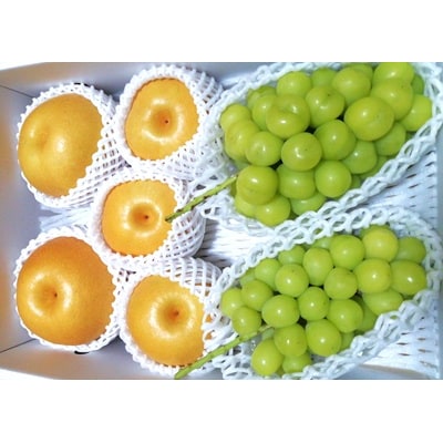 【直送便】完熟シャインマスカットと和梨セット(大)　0148-2612