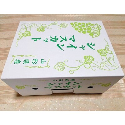 【樹上完熟】シャインマスカット　1房(もぎたて直送)　0148-2511