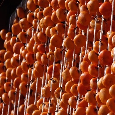 【酸化防止剤不使用】紅干し柿　2Lサイズ　4個×4袋　0153-2501