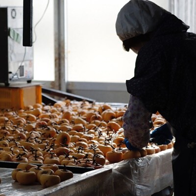 【酸化防止剤不使用】紅干し柿　2Lサイズ　4個×4袋　0153-2501