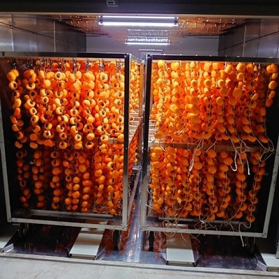 紅柿で作ったあんぽ柿　4個×4パック　0153-2602