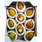 【農園直送!】西洋梨(ラ・フランス)3kg　ご家庭用　0044-2504