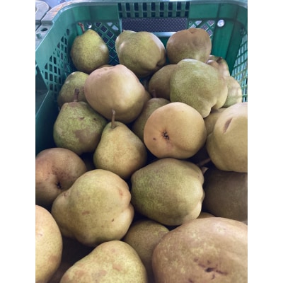 【農園直送!】西洋梨(ラ・フランス)3kg　ご家庭用　0044-2504
